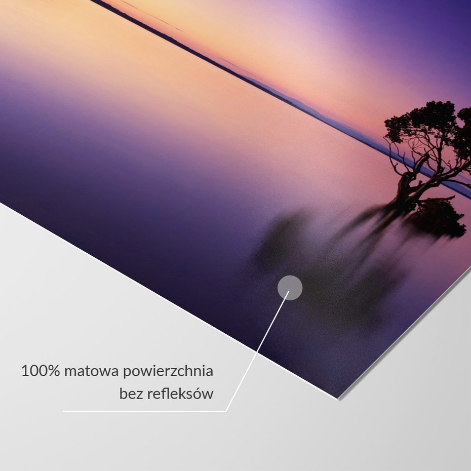 Fototapeta - jezioro, drzewo, zmierzch