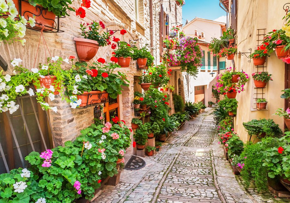 Fototapeta - kwiaty, uliczka, doniczki