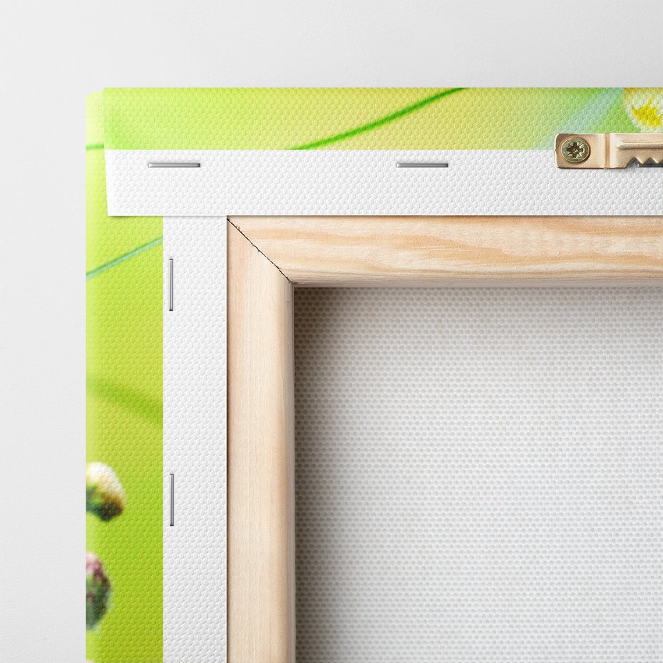 Obraz na płótnie - motyl, kwiaty, natura