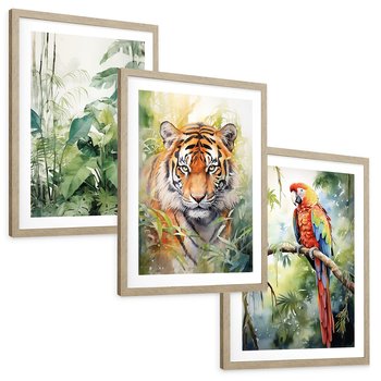 Zestaw obrazy w ramie, plakaty - papuga, liście, tygrys - rama drewno