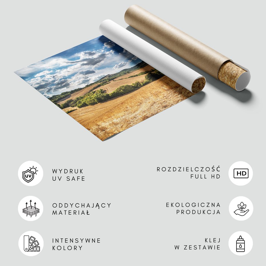 Fototapeta - krajobraz, pola, niebo