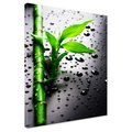 Obraz na płótnie - bambus, liście, krople