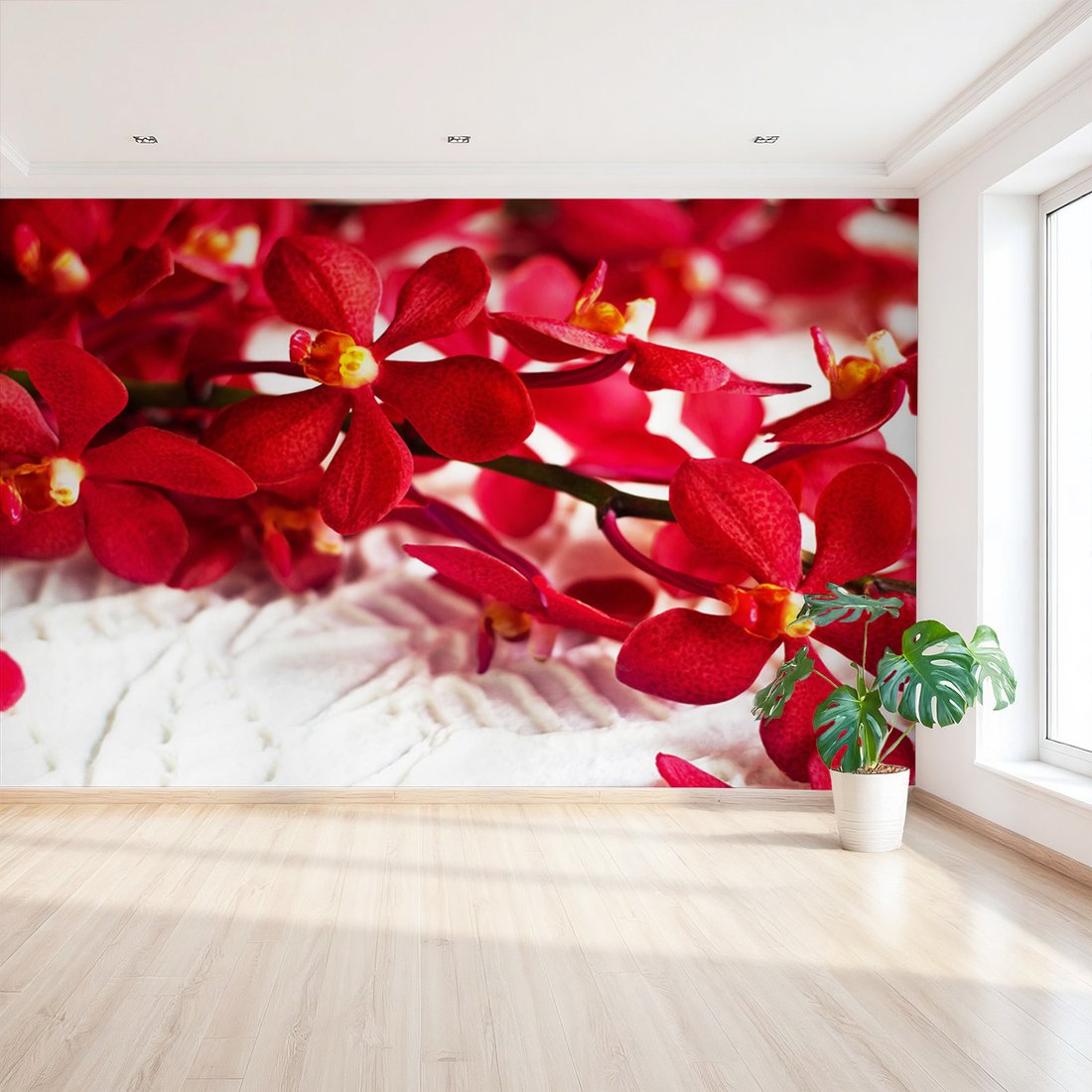 Fototapeta - kwiaty, czerwone, orchidee