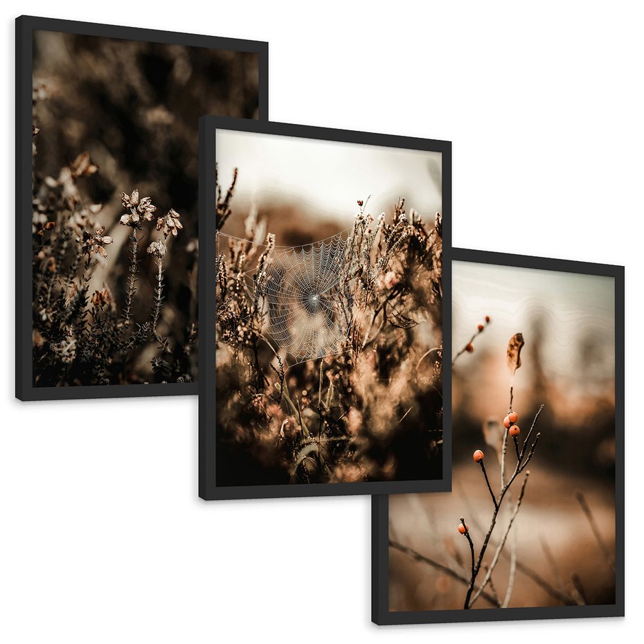 Zestaw obrazy w ramie, plakaty - przyroda, rośliny, natura - rama czarna