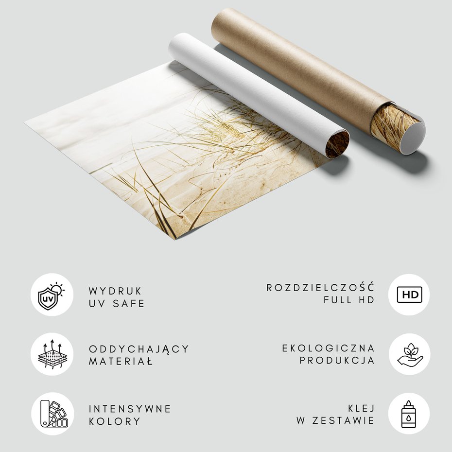 Fototapeta - plaża, piasek, trawa