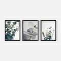 Zestaw obrazy w ramie, plakaty - eukaliptus, liście, gałązki - rama czarna