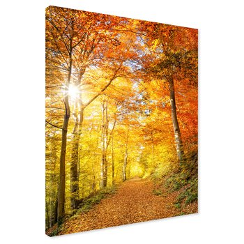 Obraz na płótnie - jesień, las, liście