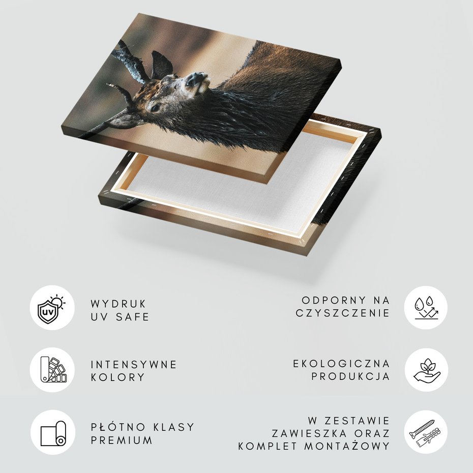 Obraz na płótnie - jeleń, zwierzę, natura