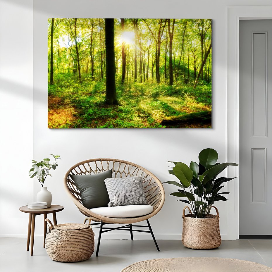 Obraz na płótnie - las, drzewa, słońce