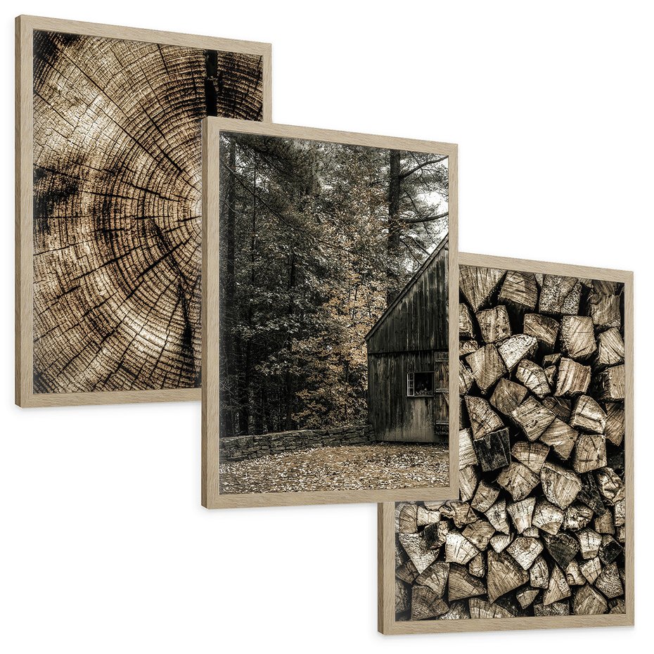 Zestaw obrazy w ramie, plakaty - drewno, kora, natura - rama drewno