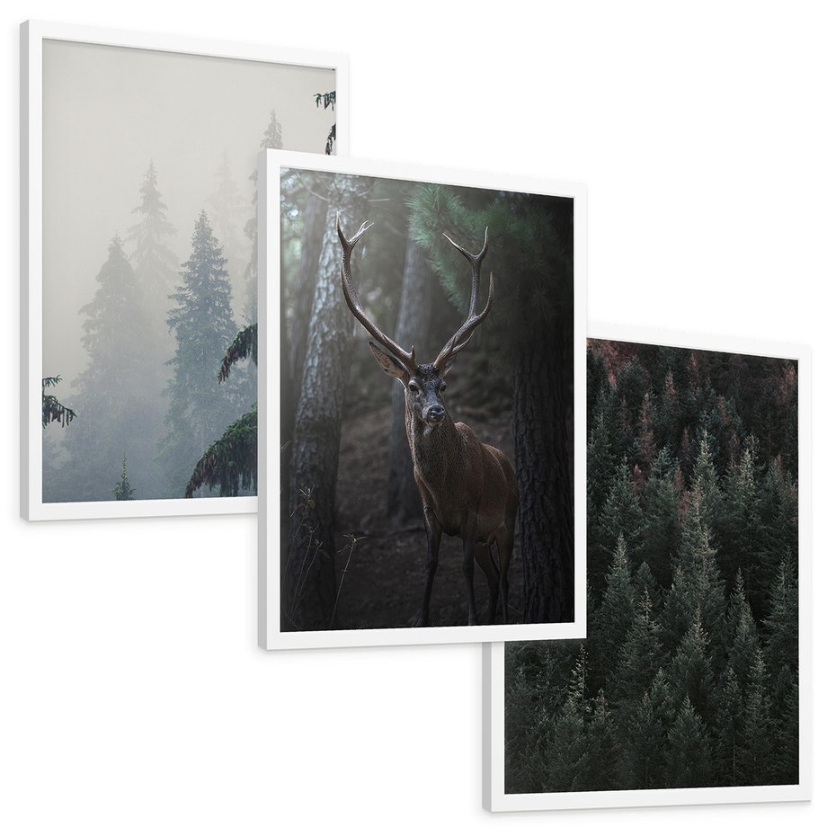 Zestaw obrazy w ramie, plakaty - las, drzewa, jeleń - rama biała