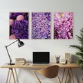 Zestaw obrazy w ramie, plakaty - kwiaty, kamienie, fioletowy - rama drewno
