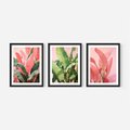 Zestaw obrazy w ramie, plakaty - liście, pastelowy, tropikalny - rama czarna