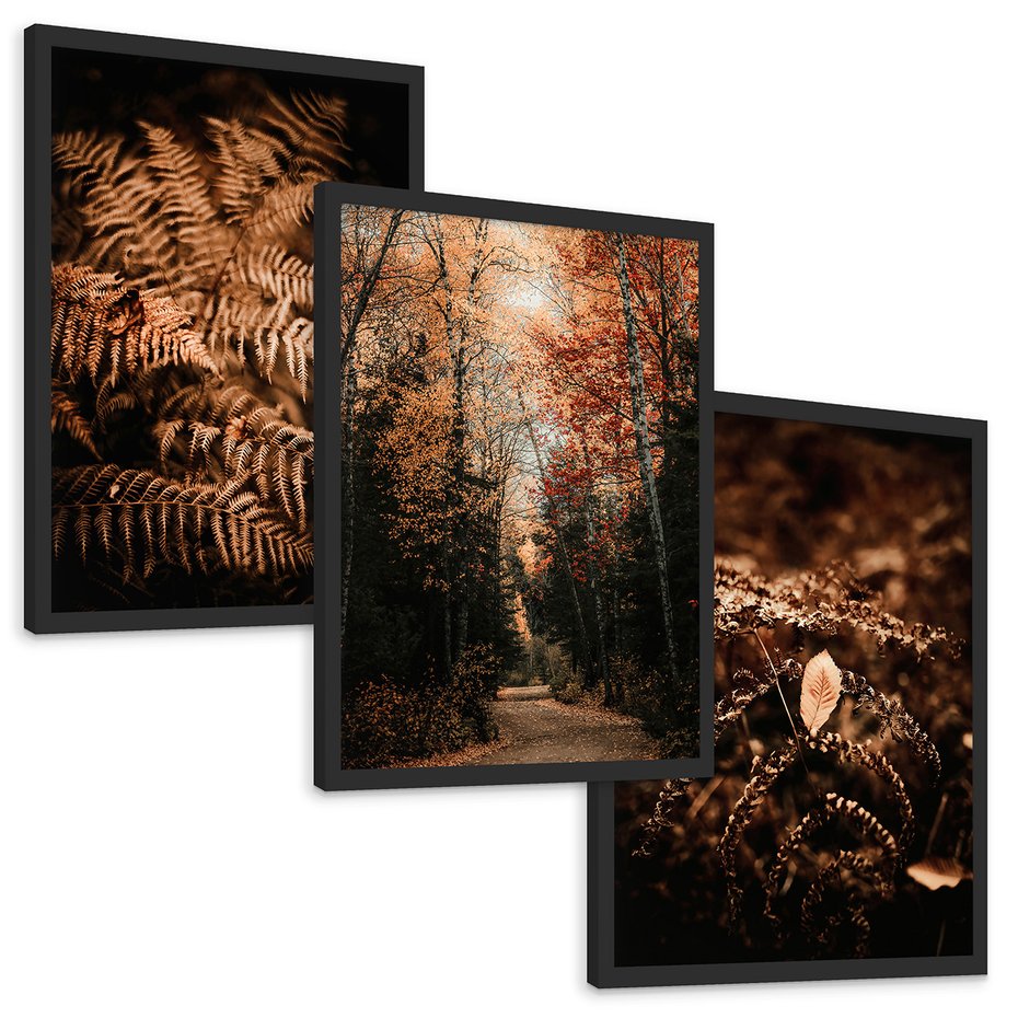 Zestaw obrazy w ramie, plakaty - jesień, liście, brązowy - rama czarna