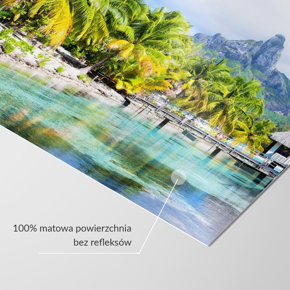 Fototapeta - palmy, woda, góry