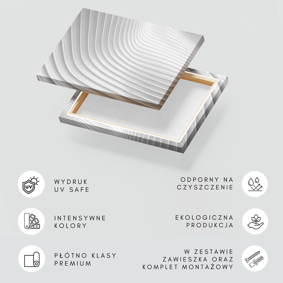 Obraz na płótnie - abstrakcja, fale, biały