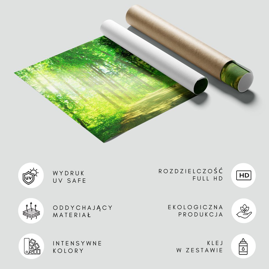 Fototapeta - las, drzewa, przyroda