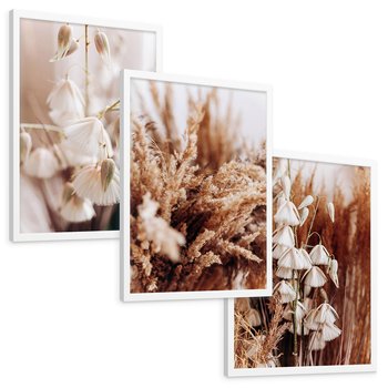 Zestaw obrazy w ramie, plakaty - kwiaty, trawa, pampasowa - rama biała