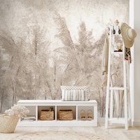 Fototapeta - beton, liście, suche