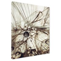 Obraz na płótnie - makro, krople, nasiona