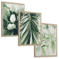 Zestaw obrazy w ramie, plakaty - liście, tropikalne, roślina - rama drewno