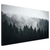 Obraz na płótnie - las, mgła, drzewa