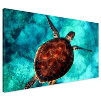 Obraz na płótnie - żółw morski, pod wodą, ocean