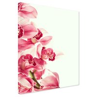 Obraz na płótnie - kwiaty, różowy, orchidee