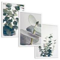 Zestaw obrazy w ramie, plakaty - eukaliptus, liście, gałązki - rama biała