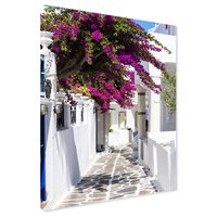 Obraz na płótnie - uliczka, kwiaty, biały