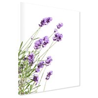 Obraz na płótnie - kwiaty, lawenda, fioletowy