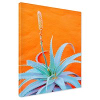 Obraz na płótnie - aloe, roślina, pomarańczowy
