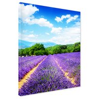 Obraz na płótnie - lawenda, pole, krajobraz