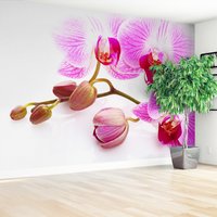 Fototapeta - kwiaty, orchidee, pąki