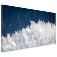 Obraz na płótnie - mróz, kryształki, zima