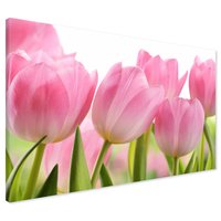 Obraz na płótnie - tulipany, kwiaty, różowe
