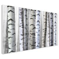 Obraz na płótnie - brzoza, drzewa, las