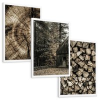Zestaw obrazy w ramie, plakaty - drewno, kora, natura - rama biała