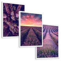 Zestaw obrazy w ramie, plakaty - lawenda, pole, kwiaty - rama biała