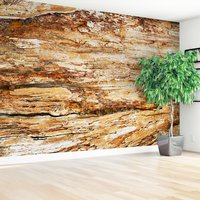 Fototapeta - drewno, kora, tekstura