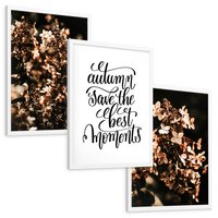 Zestaw obrazy w ramie, plakaty - kwiaty, jesień, dekoracja - rama biała