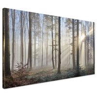 Obraz na płótnie - las, drzewa, mgła