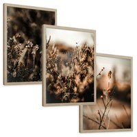 Zestaw obrazy w ramie, plakaty - przyroda, rośliny, natura - rama drewno