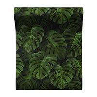 Tapeta - liście, monstera, roślinność