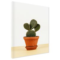 Obraz na płótnie - kaktus, doniczka, roślina