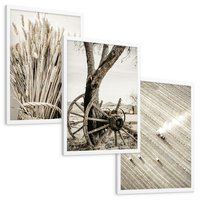 Zestaw obrazy w ramie, plakaty - wieś, rolnictwo, plony - rama biała