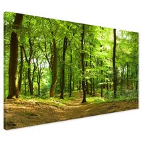 Obraz na płótnie - las, drzewa, natura