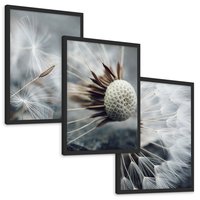 Zestaw obrazy w ramie, plakaty - dmuchawiec, nasiona, natura - rama czarna