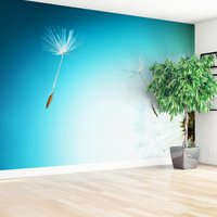 Fototapeta - dmuchawiec, nasiona, natura