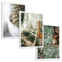 Zestaw obrazy w ramie, plakaty - kaktus, sukulenty, rośliny - rama biała